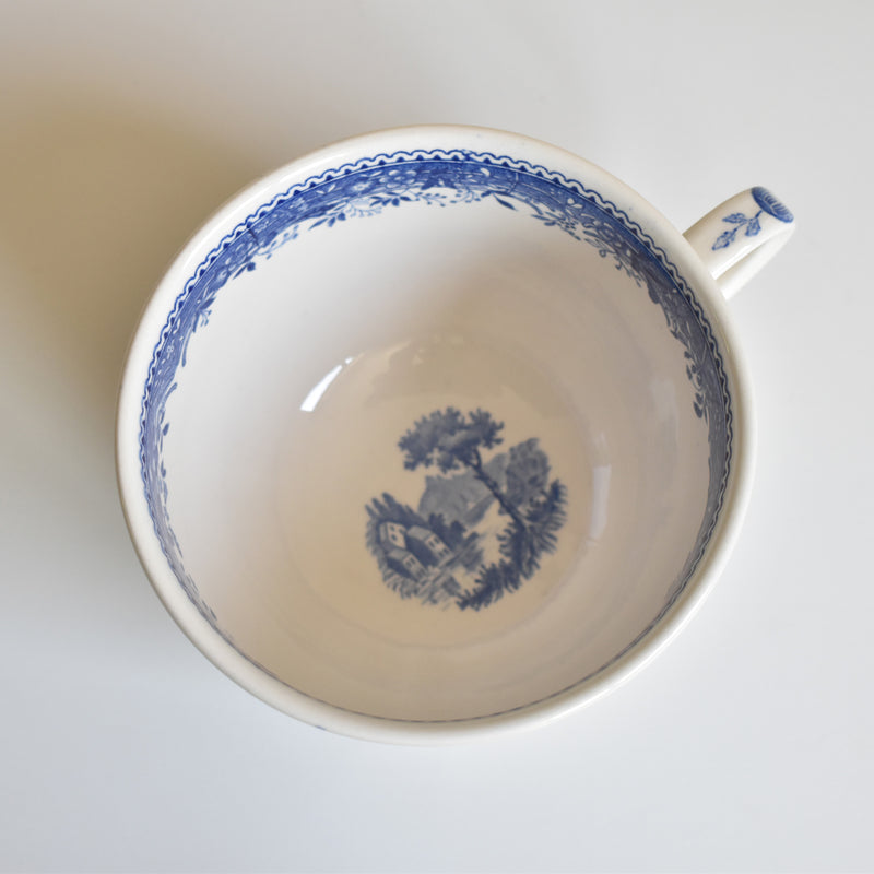 Vintage Teacup & Saucer Villeroy & Boch Burgenland A