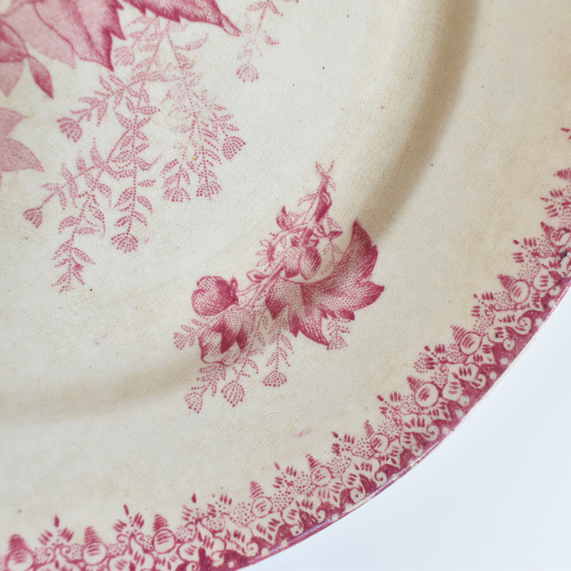 Antique Plate Onan Eglantines A