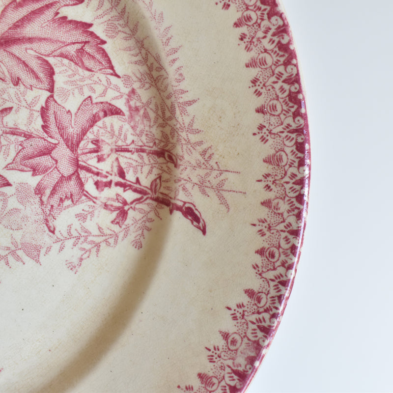 Antique Plate Onan Eglantines A