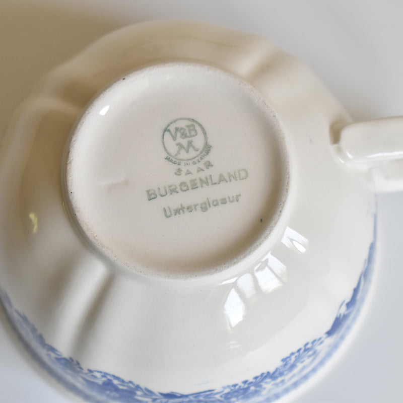Vintage Teacup & Saucer Villeroy & Boch Burgenland A