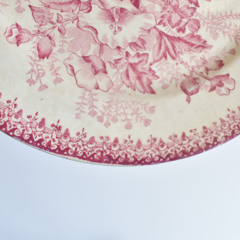 Antique Plate Onan Eglantines A