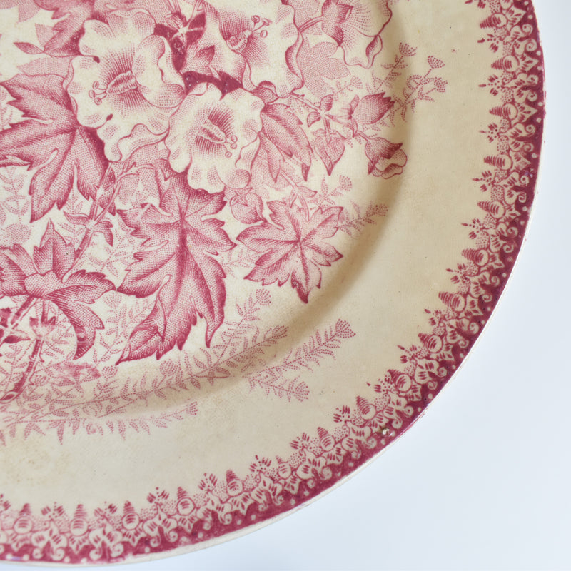 Antique Plate Onan Eglantines A