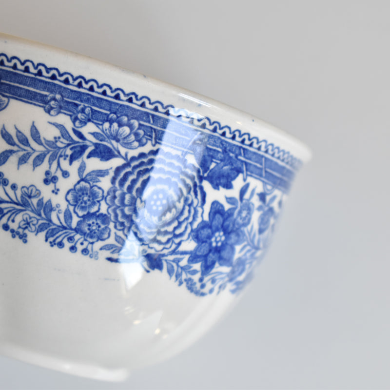 Vintage Teacup & Saucer Villeroy & Boch Burgenland A
