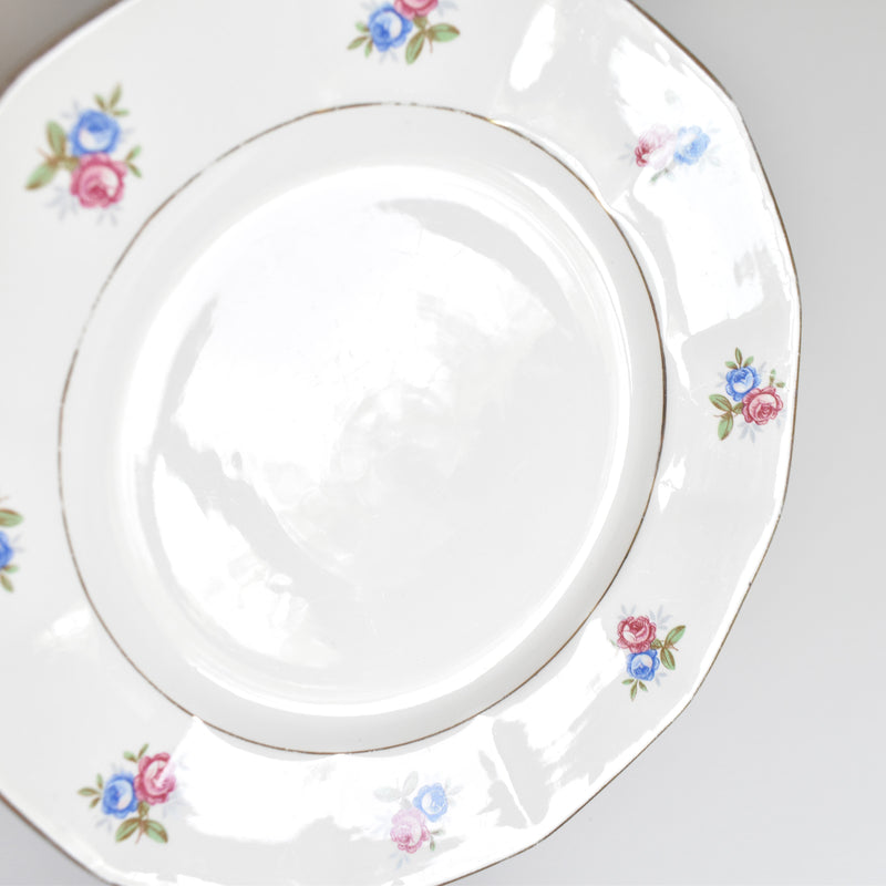 Vintage Dessert Plate Digoin & Sarreguemines 9123 C