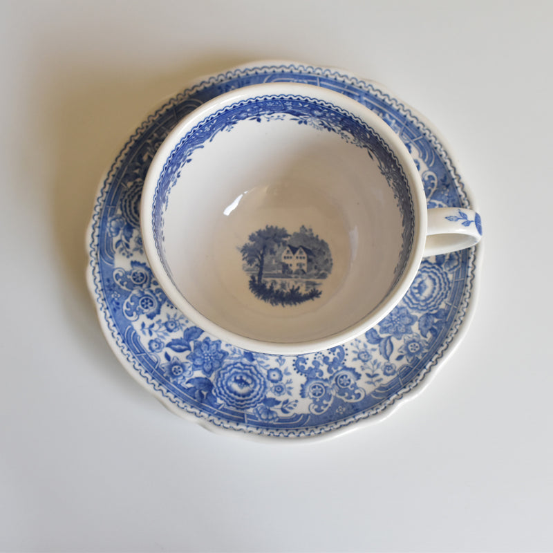 Vintage Teacup & Saucer Villeroy & Boch Burgenland B