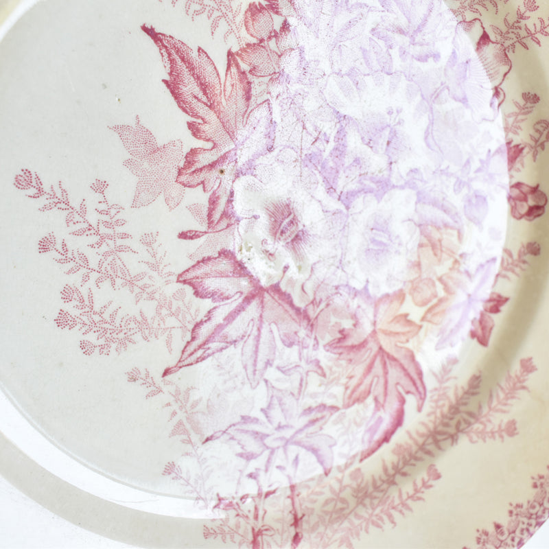 Antique Plate, Onann, Eglantines B
