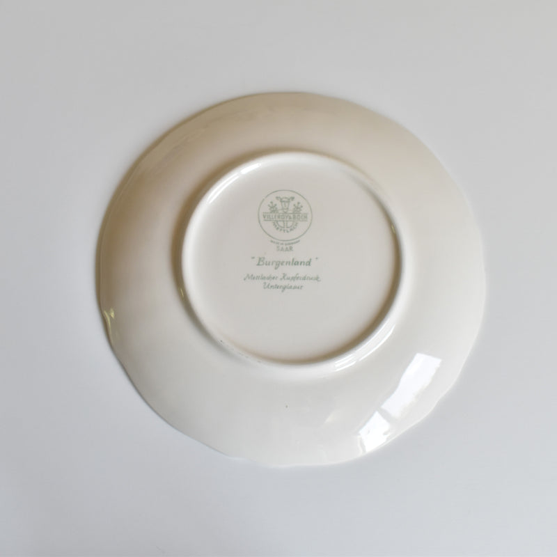 Vintage Teacup & Saucer Villeroy & Boch Burgenland B
