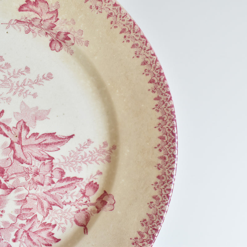 Antique Plate, Onann, Eglantines B