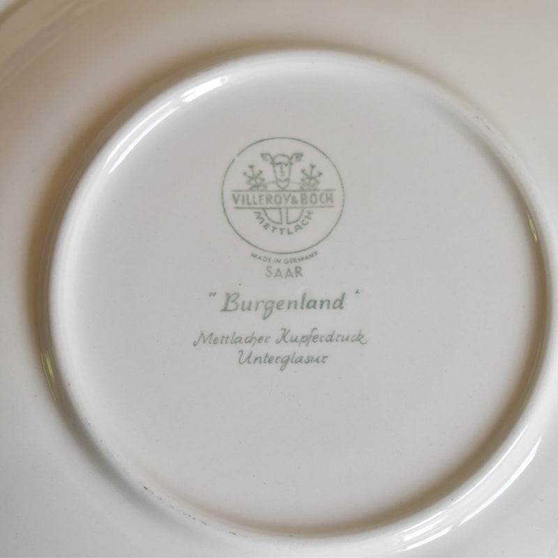 Vintage Teacup & Saucer Villeroy & Boch Burgenland B