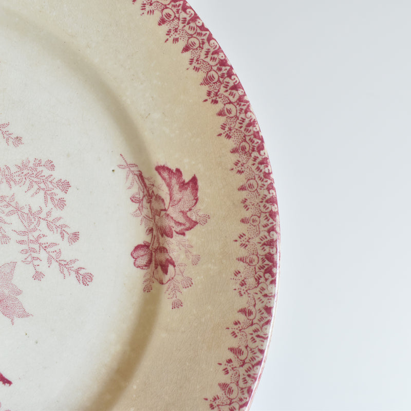 Antique Plate, Onann, Eglantines B
