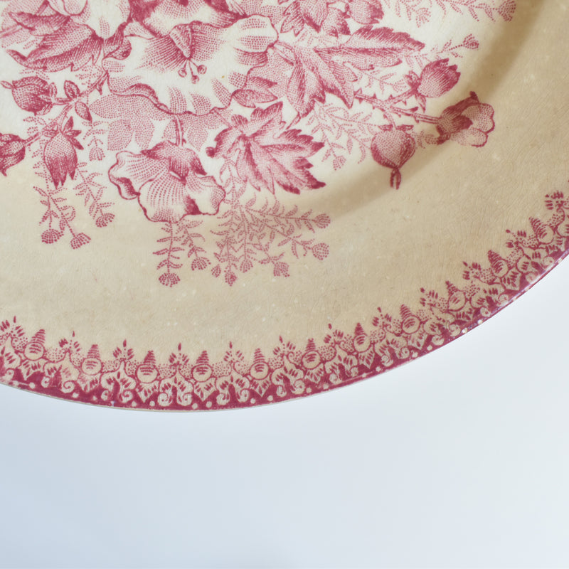 Antique Plate, Onann, Eglantines B