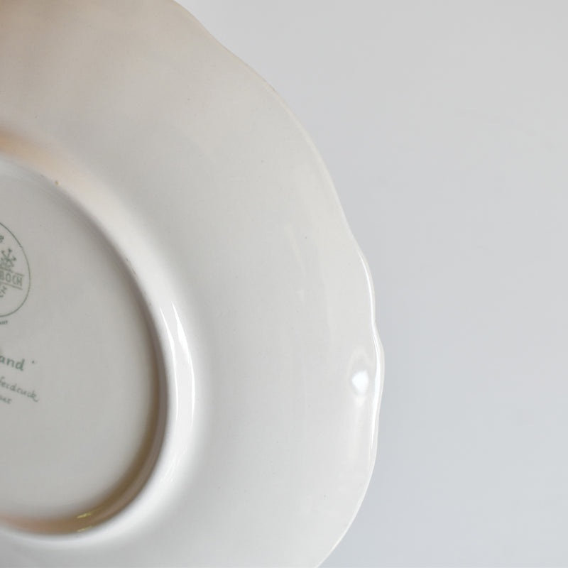 Vintage Teacup & Saucer Villeroy & Boch Burgenland B