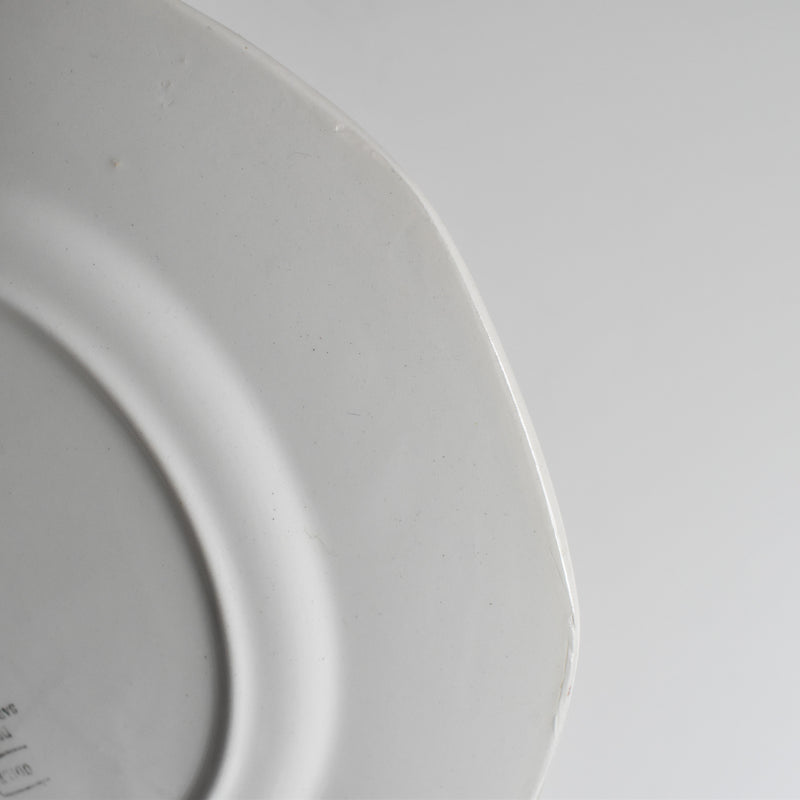 Vintage Plate: Digoin & Sarreguemines Odile C