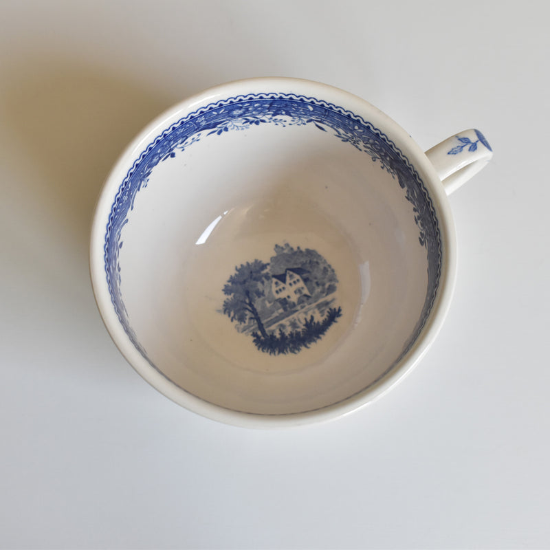 Vintage Teacup & Saucer Villeroy & Boch Burgenland B