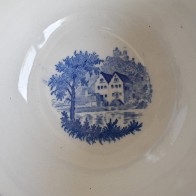 Vintage Teacup & Saucer Villeroy & Boch Burgenland B