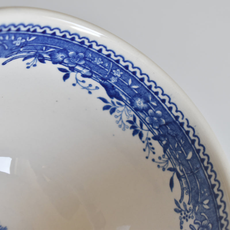 Vintage Teacup & Saucer Villeroy & Boch Burgenland B