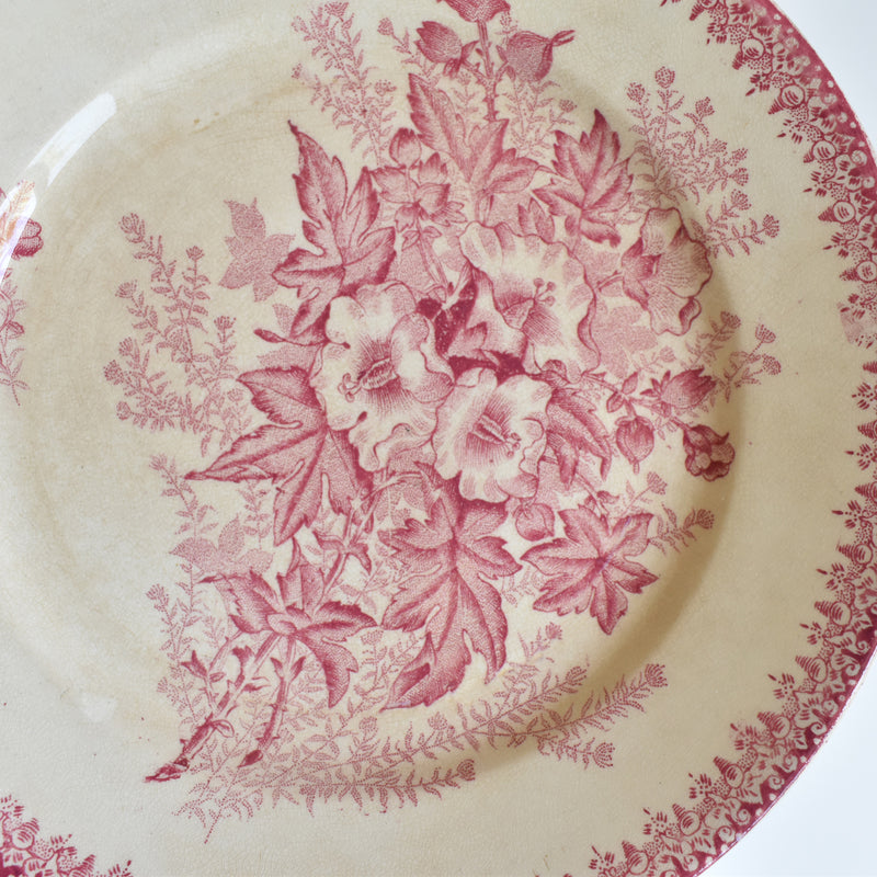 Antique Plate Onan Eglantines C