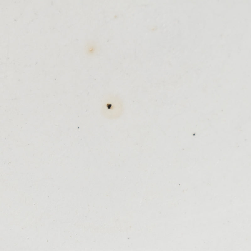 アンティークデザートプレート U&Cサルグミンヌ Carina B