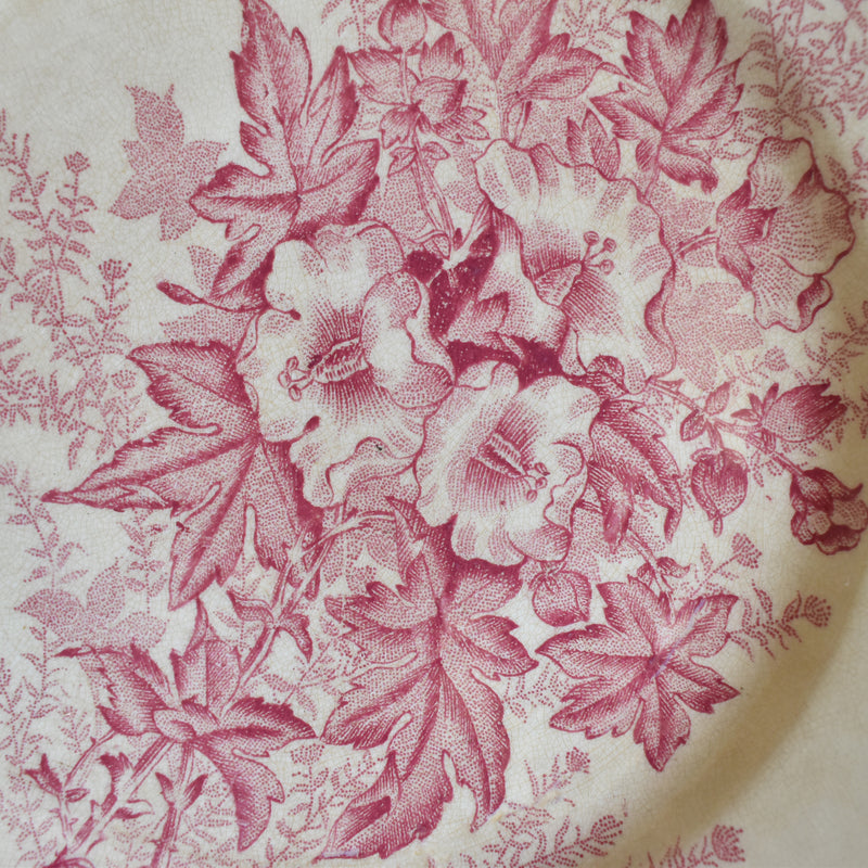 Antique Plate Onan Eglantines C