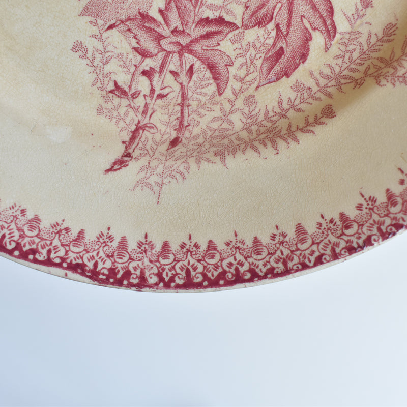 Antique Plate Onan Eglantines C