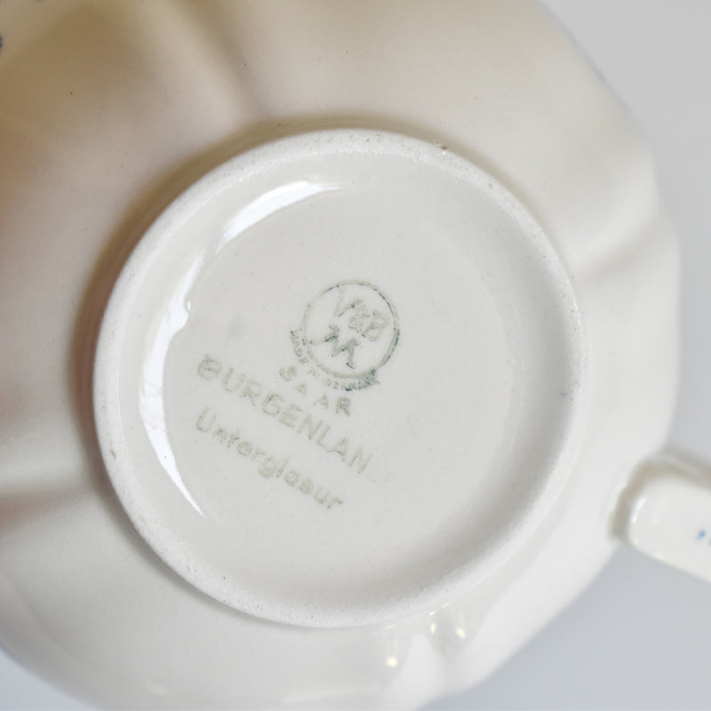 Vintage Teacup & Saucer Villeroy & Boch Burgenland B