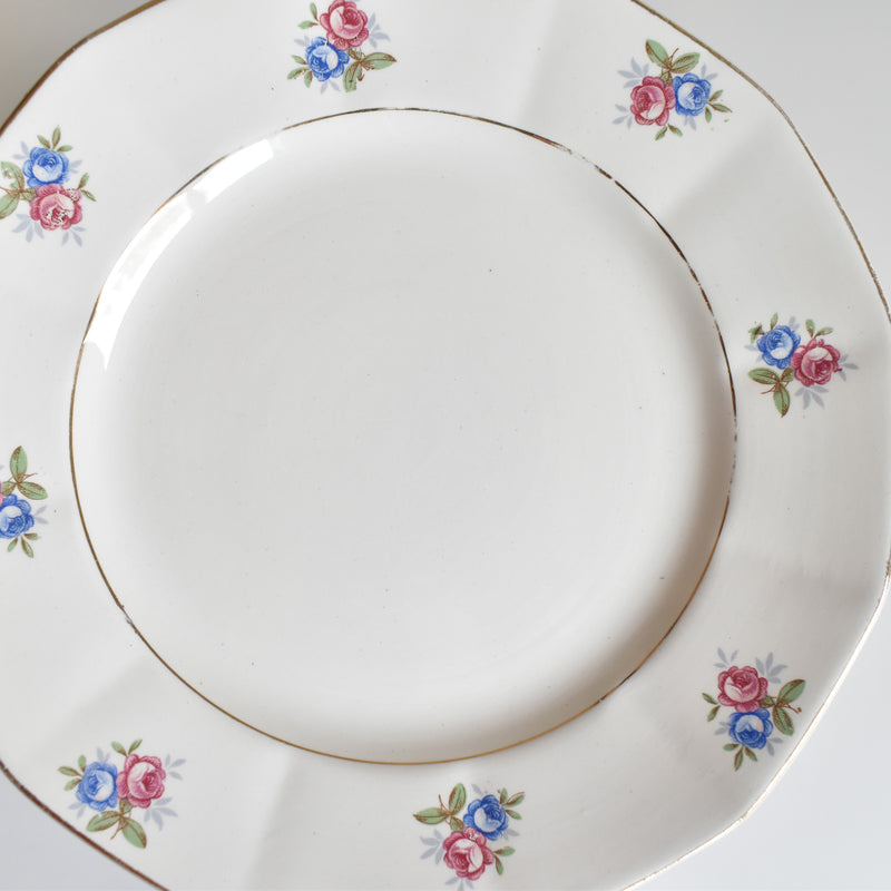 Vintage Dessert Plate Digoin & Sarreguemines 9123 E