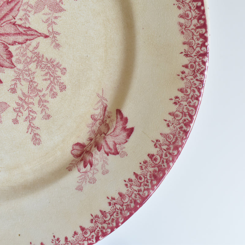 Antique Plate Onan Eglantines C
