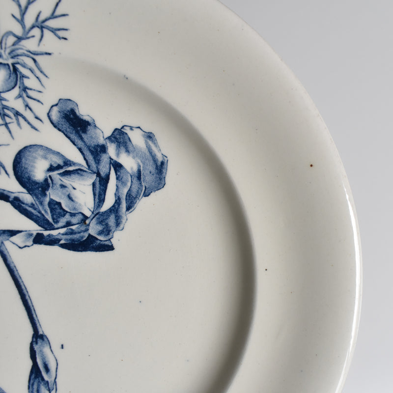 Antique Plate SG Choisy le Roi Clairfontaine Fleurs
