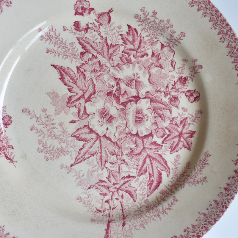 Antique Plate, Onna, Eglantines, D