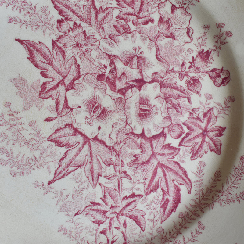 Antique Plate, Onna, Eglantines, D