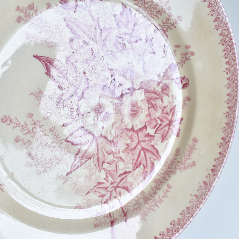 Antique Plate, Onna, Eglantines, D