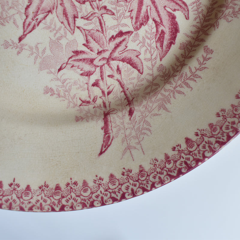 Antique Plate, Onna, Eglantines, D