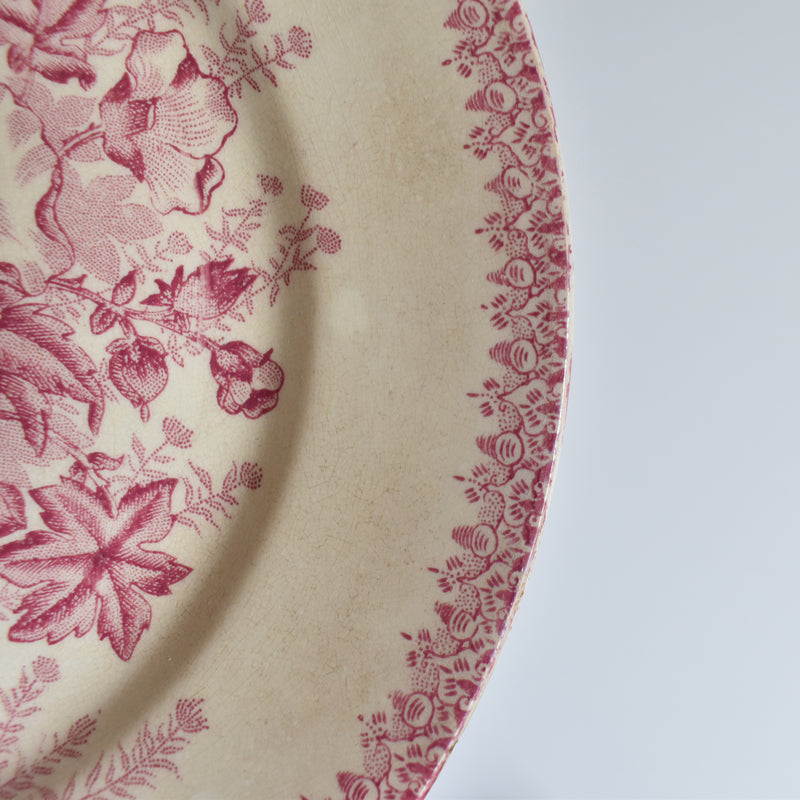 Antique Plate, Onna, Eglantines, D