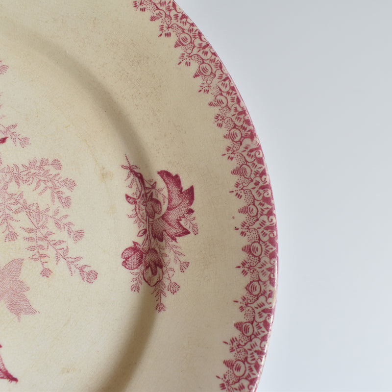 Antique Plate, Onna, Eglantines, D
