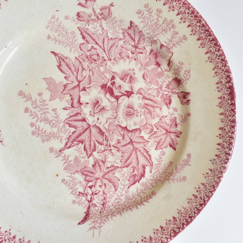 Antique Plate Onnaing Eglantines F