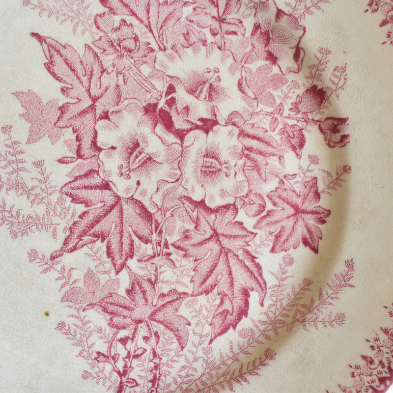 Antique Plate Onnaing Eglantines F