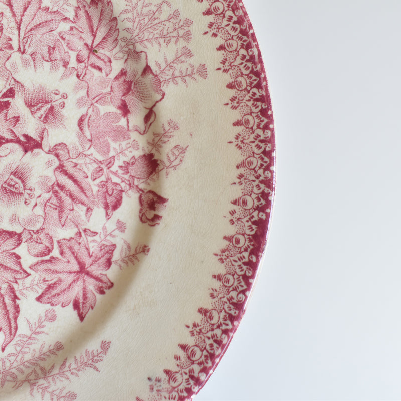 Antique Plate Onnaing Eglantines F