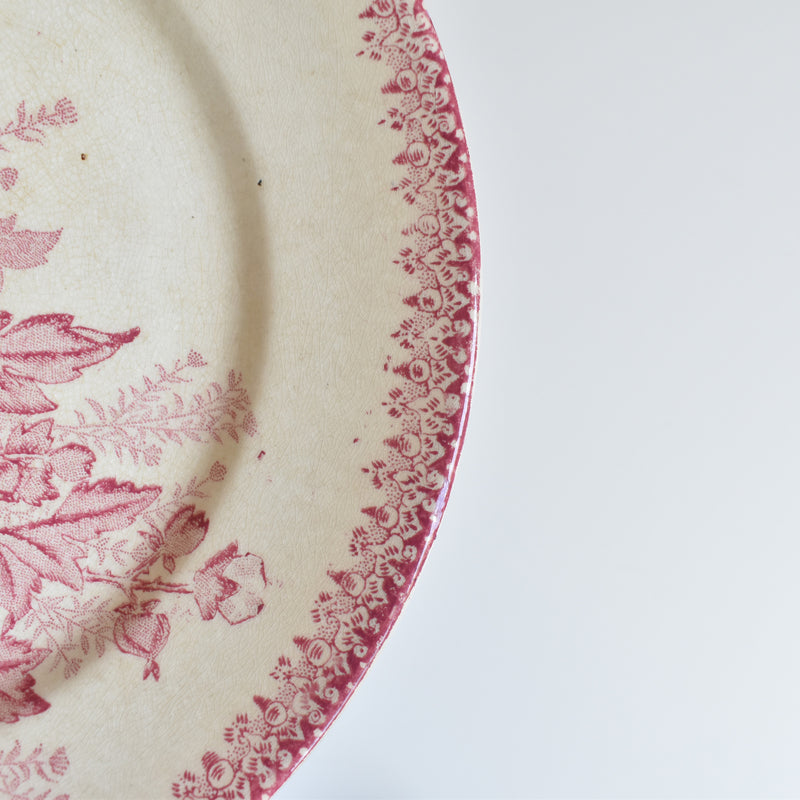 Antique Plate Onnaing Eglantines F