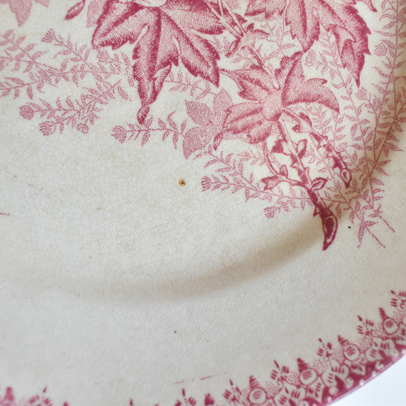 Antique Plate Onnaing Eglantines F