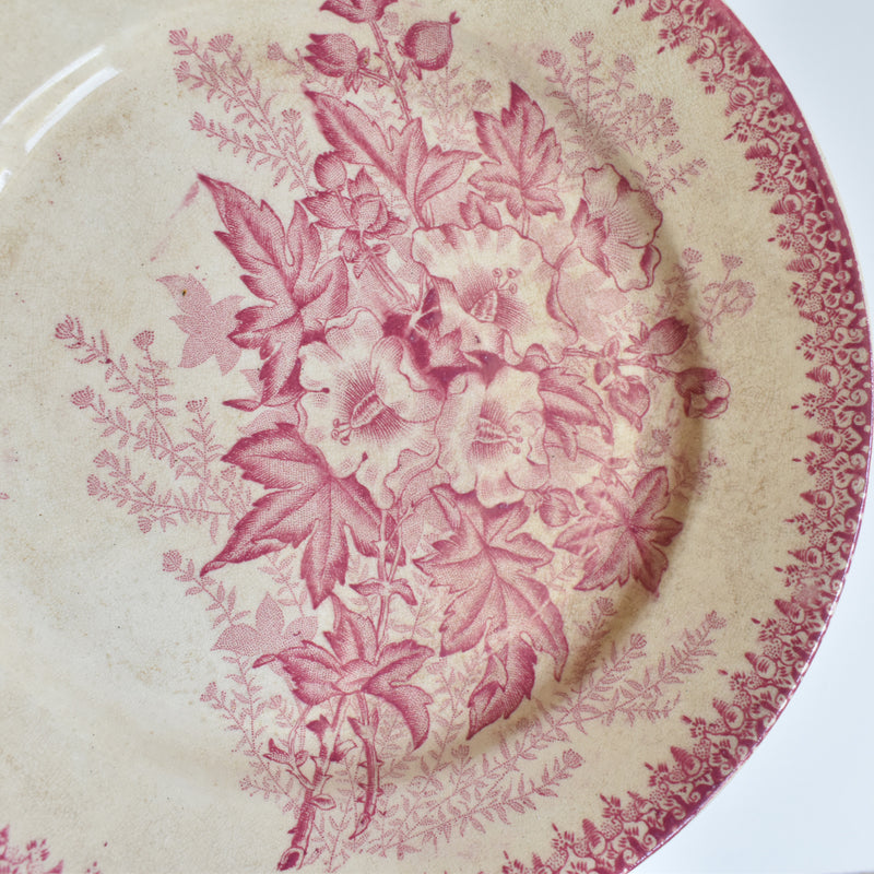 Antique plate Onan Eglantines G
