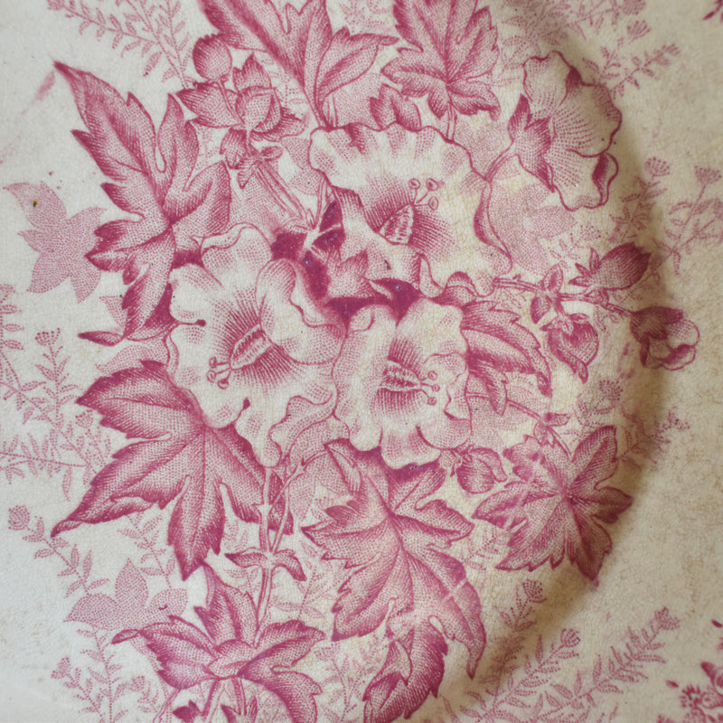 Antique plate Onan Eglantines G