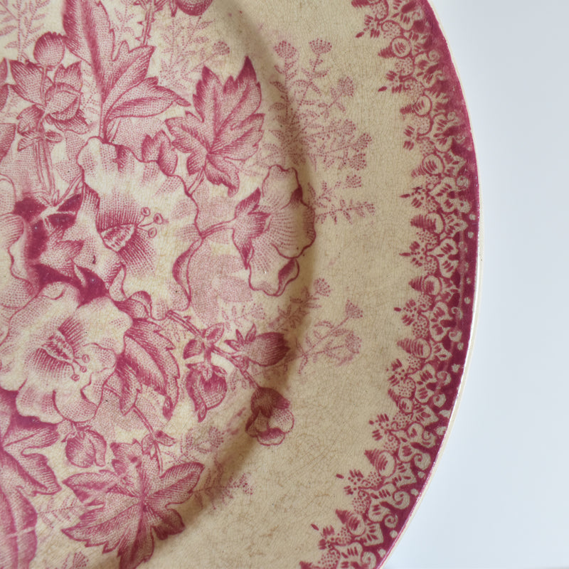 Antique plate Onan Eglantines G