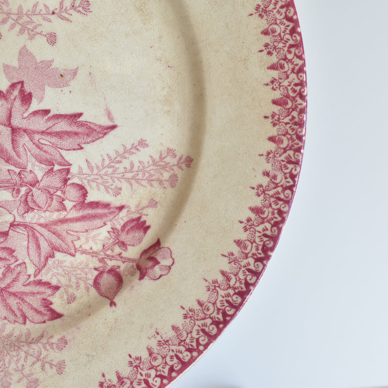 Antique plate Onan Eglantines G