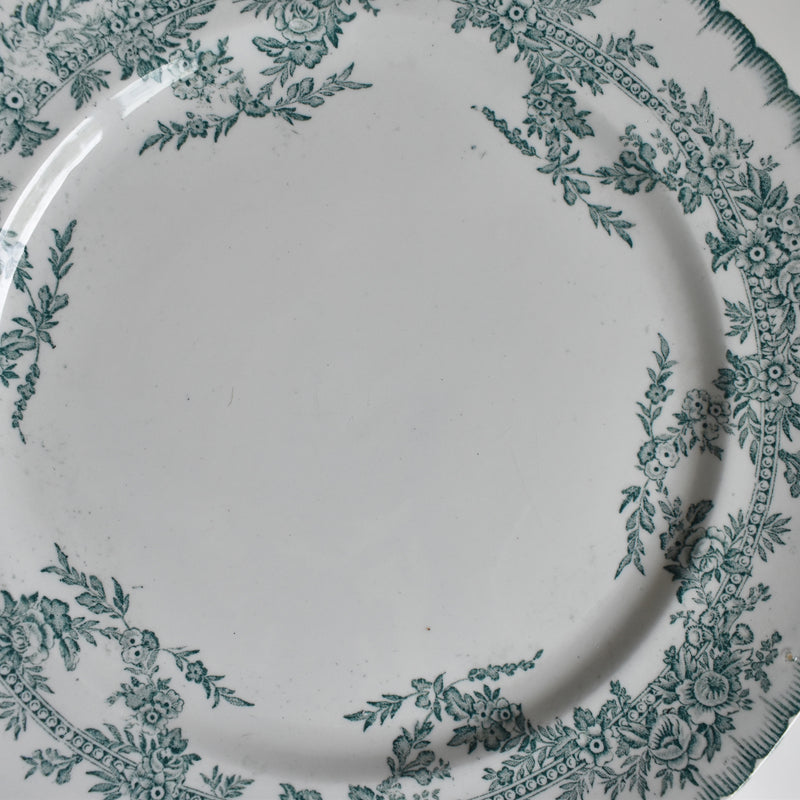 Antique Plate Onan Coppelia A
