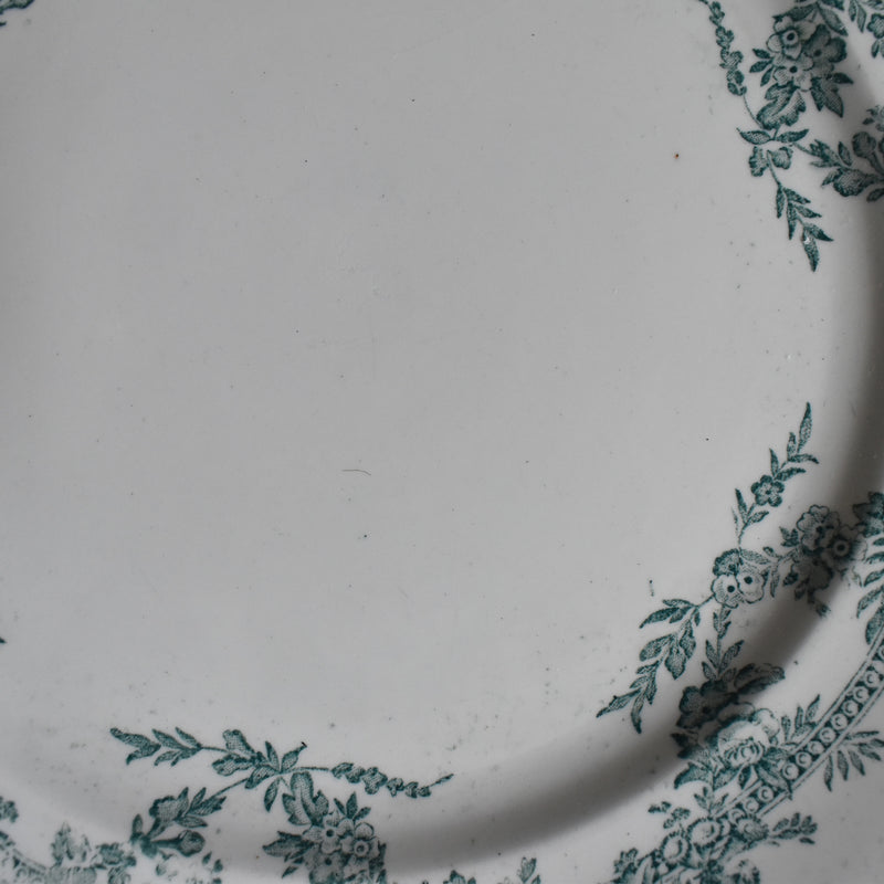 Antique Plate Onan Coppelia A
