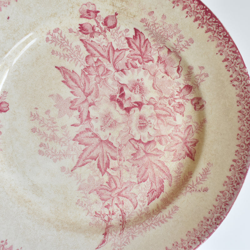 Antique Plate Onna Eglantines H