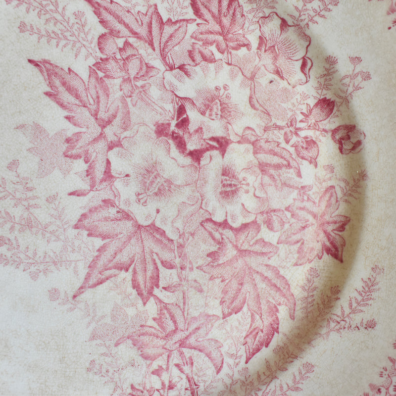Antique Plate Onna Eglantines H
