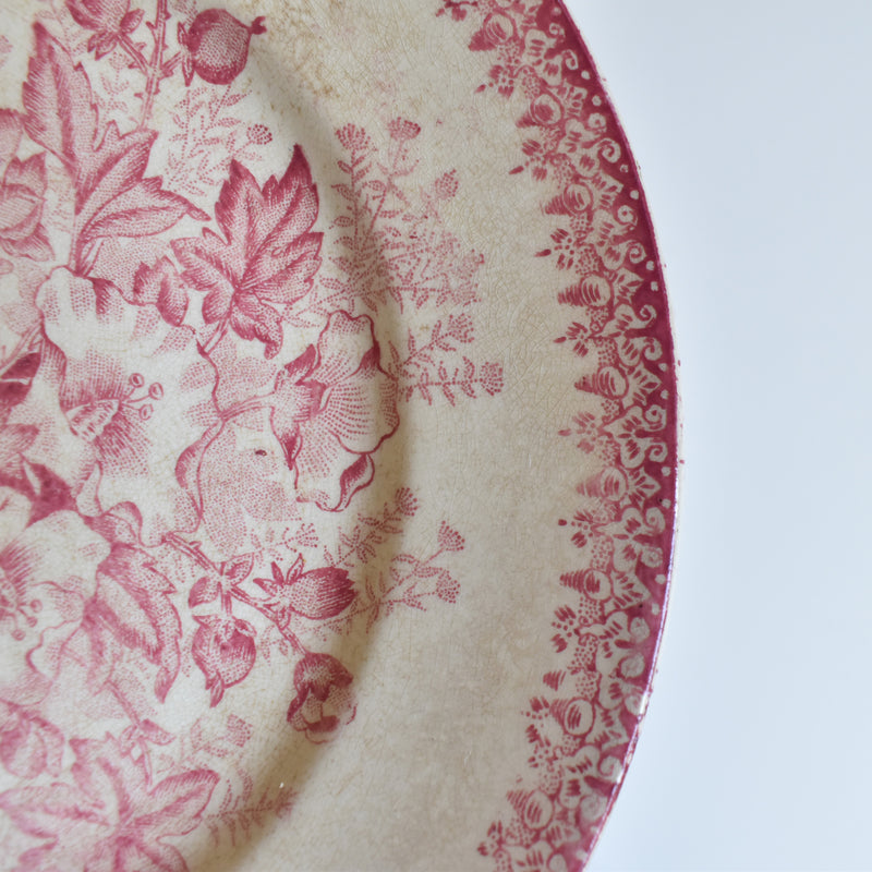 Antique Plate Onna Eglantines H