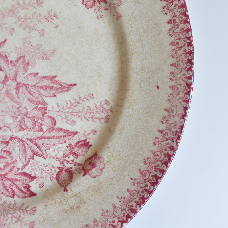 Antique Plate Onna Eglantines H