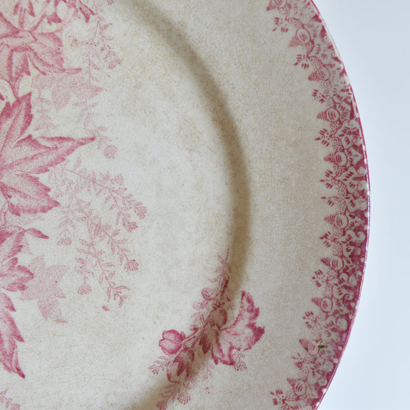 Antique Plate Onna Eglantines H